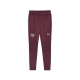 PUMA RBL Training Pants Herren Football