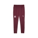 PUMA RBS Training Pants Herren Football