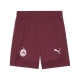 PUMA RBS Training Shorts Herren Football