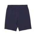 RBS Casuals Shorts