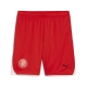 PUMA GFC Shorts Replica Herren Football