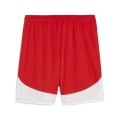 GFC Shorts Replica