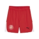 PUMA GFC Shorts Replica Jr Football