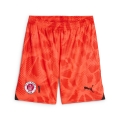 PUMA FCSP GK Shorts Herren Football