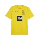 PUMA BVB Training Jersey with Sponsor Herren Football