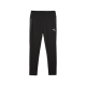 PUMA teamCUP Training Pants Herren Football