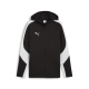 PUMA teamEVOSTRIPE Hooded Jacket Herren Football