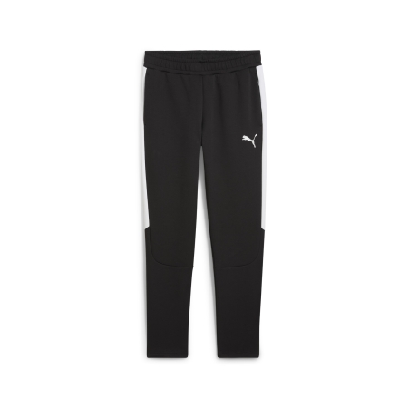 PUMA teamEVOSTRIPE Pants Herren Football