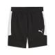 PUMA teamEVOSTRIPE Shorts Herren Football