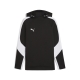 PUMA teamEVOSTRIPE Hoody Herren Football