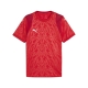 PUMA teamCUP Jersey Herren Football